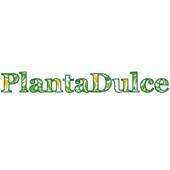PLANTA DULCE