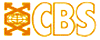 Consolidated Business Systems