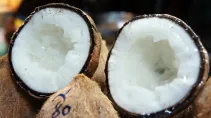 Cukier Kokosowy