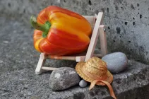 Przekąski na wakacje