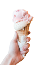Lody Domowe