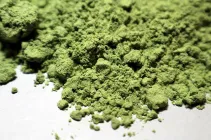 Chlorella