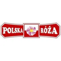 Polska Róża