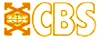 Consolidated Business Systems .