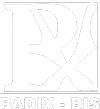Radix-Bis Sp. z o.o.