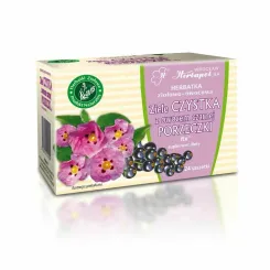 Herbatka Ziołowo - Owocowa CZYSTEK Z PORZECZKĄ FIX 48 g (24x 2 g) -  Herbapol Wrocław