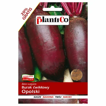 Burak Ćwikłowy OPOLSKI Nasiona 12 g - PlantiCo
