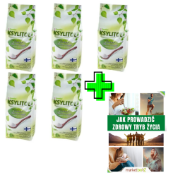 5 x Ksylitol C Krystaliczny 1 kg - Torebka - Santini  + ePoradnik: Jak Prowadzić Zdrowy Tryb Życia