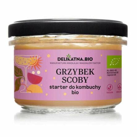 Grzybek Scoby Starter do Kombuchy Bio 150 g - Delikatna.Bio (COLD)