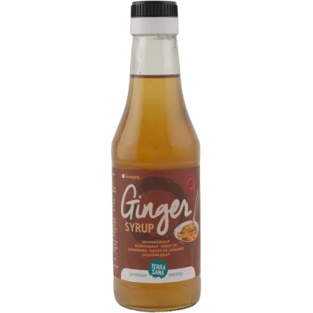 Syrop Imbirowy Bio 250 ml - Terrasana