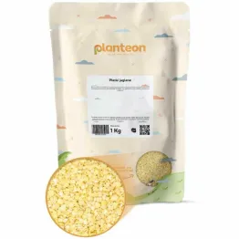 Płatki Jaglane 1 kg - Planteon