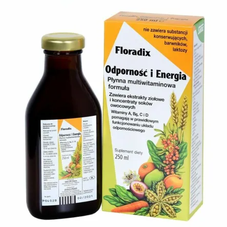 Floradix Odporność i Energia 250 ml - Salus Haus