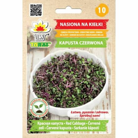 Nasiona na Kiełki Kapusta Czerwona 10 g - Toraf