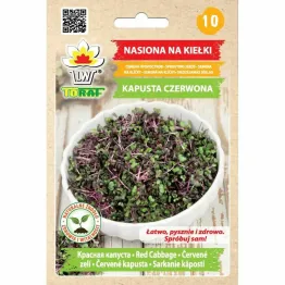 Nasiona na Kiełki Kapusta Czerwona 10 g - Toraf