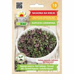 Nasiona na Kiełki Kapusta Czerwona 10 g - Toraf