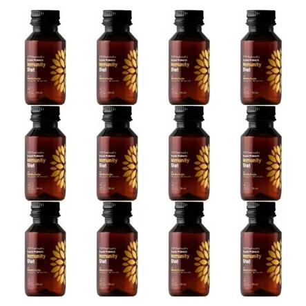 12 x Kombucha BIO Probiotyk Odporność Shot 100 ml - VIGO