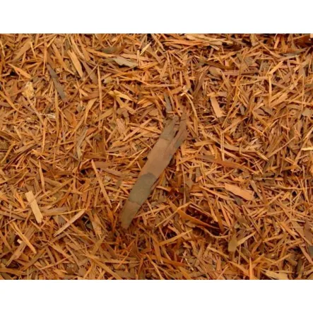 Lapacho Matto Grosso 50 G - Intenson