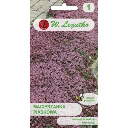 Macierzanka Piaskowa Lilaróżowa Nasiona 0,1 g - Legutko
