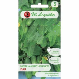 Ogórek Sałatkowy - Dar Nasiona 5 g - Legutko