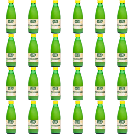 24 x Sok z Cytryn Bio 250 ml - Eureko - 2 zgrzewki