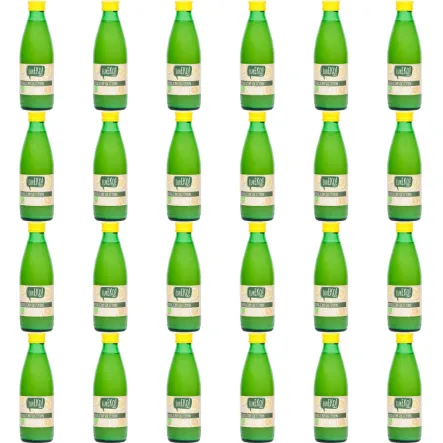 24 x Sok z Cytryn Bio 250 ml - Eureko - 2 zgrzewki