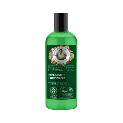 Odżywka do Włosów Oczyszczająca 260 ml - Agafii