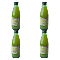 4 x Sok z Limonki Bio 250 ml - Ekowital