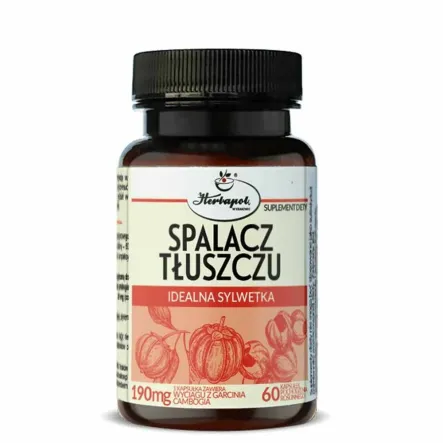 Spalacz Tłuszczu 60 Kapsułek - Herbapol Kraków