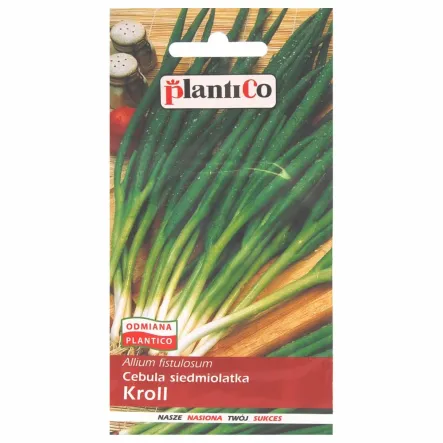 Cebula Siedmiolatka Kroll Nasiona 2 g - PlantiCo - Przecena Krótka Data Minimalnej Trwałości