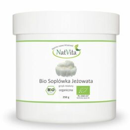 Grzyb Soplówka Jeżowata Mielona BIO 250 g - Natvita