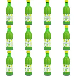 12 x Sok z Cytryn NFC Bio 250 ml - Bio Planet - Sok z Cytryny Eko