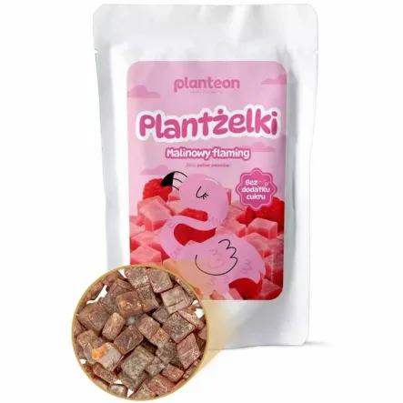 Żelki Malinowy Flaming Bez Dodatku Cukru 100 g - Planteon