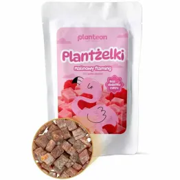 Żelki Malinowy Flaming Bez Dodatku Cukru 100 g - Planteon