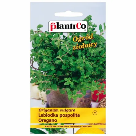 Oregano Nasiona 0,1 g - PlantiCo