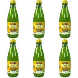 6 x Sok z Cytryny NFC Bio 250 ml - NaturAvena