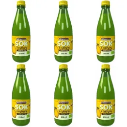 6 x Sok z Cytryny NFC Bio 250 ml - NaturAvena