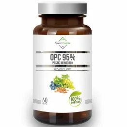 Pestki Winogron 95% OPC 450 mg 60 Kapsułek - Soul-Farm