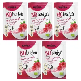5 x Budyń o Smaku Malinowym z Kawałkami Malin Bio 38 g - Naura