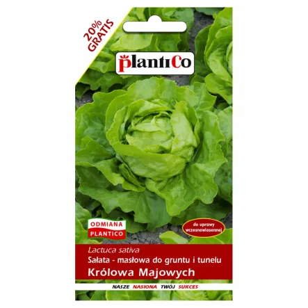 Sałata Masłowa Królowa Majowych Nasiona 1,2 g - PlantiCo