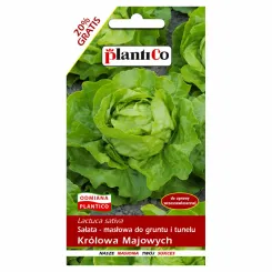 Sałata Masłowa Królowa Majowych Nasiona 1,2 g - PlantiCo