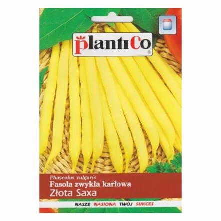 Fasola Zwykła Karłowa Szparagowa - Złota Saxa Nasiona 48 g - PlantiCo