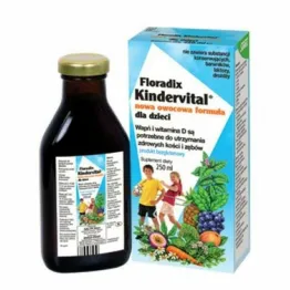 Floradix Kindervital Nowa Owocowa Formuła 250 ml - Salus Haus