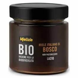 Miód Nektarowo - Spadziowy Leśny Bio 300 g - Mielizia