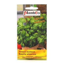 Bazylia Właściwa Nasiona 1 g - Plantico