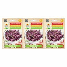 3 x Nasiona na Kiełki Rzodkiewka Red Hurricane 10 g - Toraf