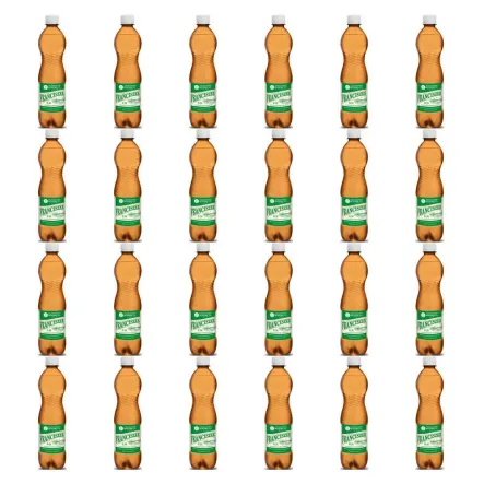 Zestaw 24 x Woda Lecznicza 0,5 l FRANCISZEK - Uzdrowisko Wysowa