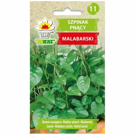 Szpinak Pnący Malabarski Nasiona 0,5 g - Toraf