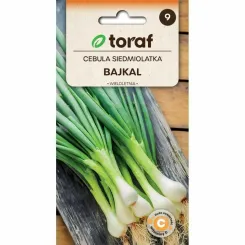 Cebula Siedmiolatka BAJKAL Wieloletnia Nasiona 3 g - Toraf