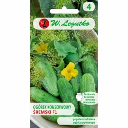 Ogórek Śremski F1 Nasiona 5 g - Legutko