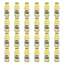 24 x Sok z Cytryny Złocista Cytryna 250 ml - Sadvit